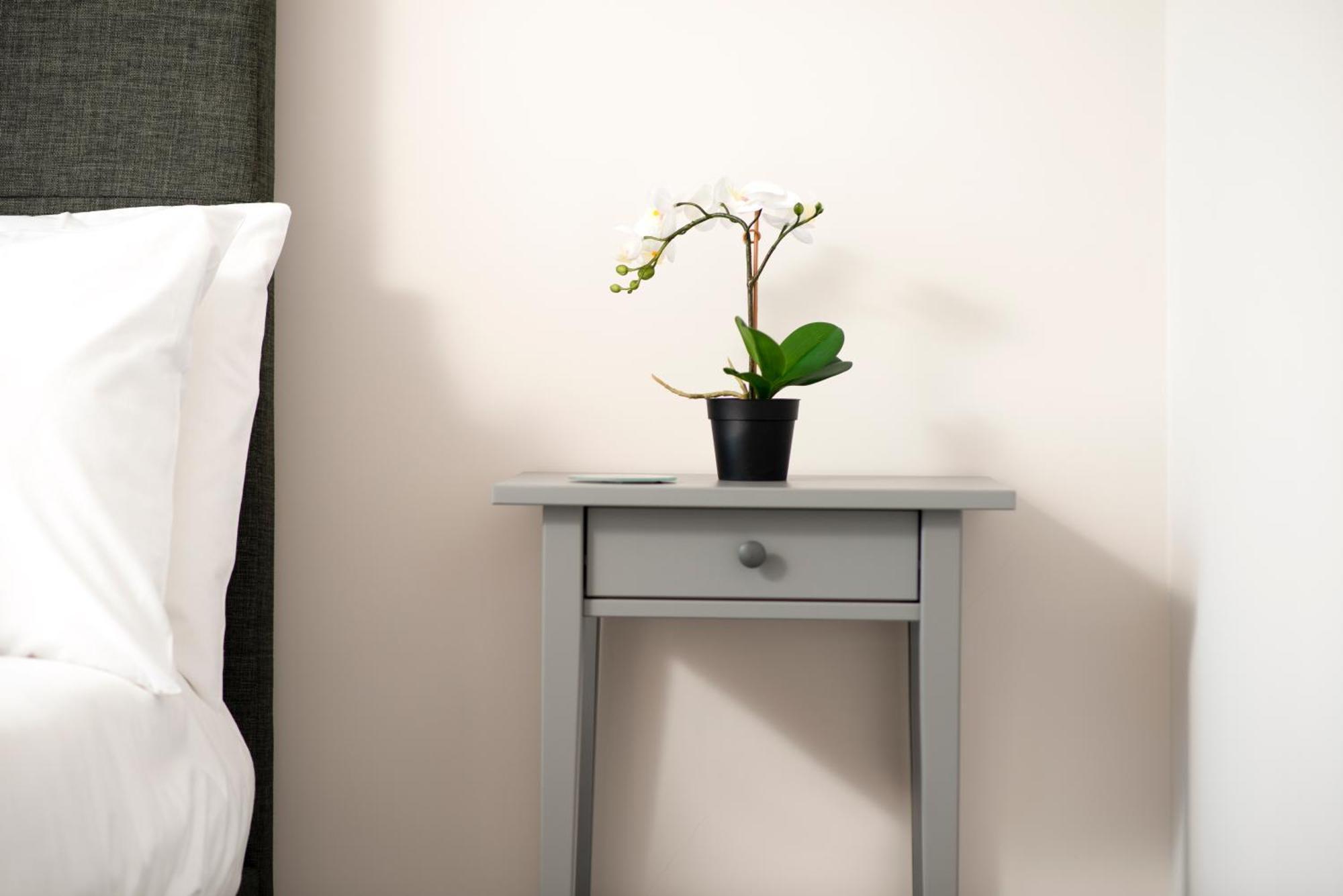 Morley Cottage - Modern 3 Bedroom, 2 Bathroom House With Garden In Southsea, 朴次茅斯 外观 照片
